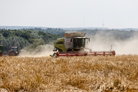 Orientări privind vânzările de terenuri agricole