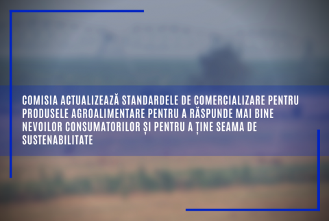 CE actualizează standardele de comercializare pentru produsele agroalimentare pentru a răspunde mai bine nevoilor consumatorilor și pentru a ține seama de sustenabilitate