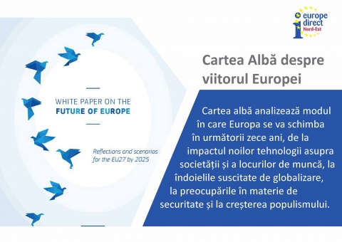 Cartea Albă - scenarii pentru următorii zece ani în Uniunea Europeană