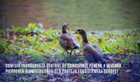 Comisia inaugurează Centrul de cunoștințe pentru a inversa pierderea biodiversității și a proteja ecosistemele Europei