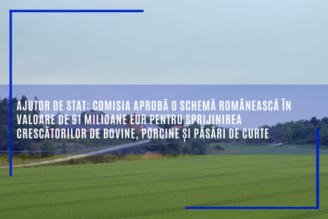 Ajutor de stat: Comisia aprobă o schemă românească în valoare de 91 milioane EUR pentru sprijinirea crescătorilor de bovine, porcine și păsări de curte