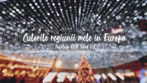 Infotrip „Culorile regiunii mele în Europa”