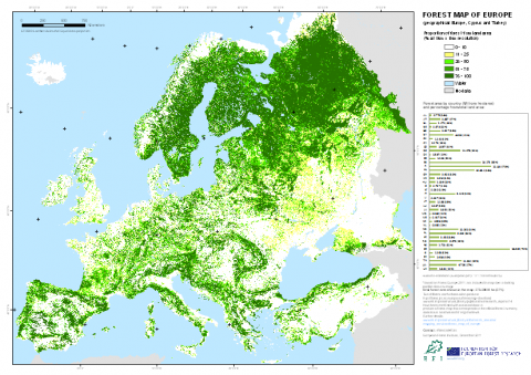 Infografic: o protecție mai bună a pădurilor europene