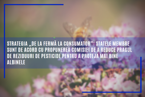 Strategia „De la fermă la consumator”: statele membre sunt de acord cu propunerea Comisiei de a reduce pragul de reziduuri de pesticide pentru a proteja mai bine albinele