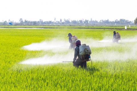 Parlamentul blochează planurile de a excepta anumite pesticide