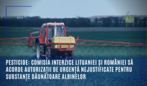 Pesticide: Comisia interzice Lituaniei și României să acorde autorizații de urgență nejustificate pentru substanțe dăunătoare albinelor