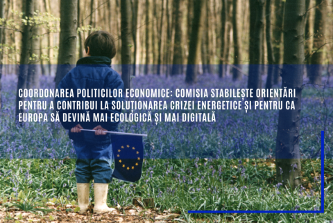 Coordonarea politicilor economice: Comisia stabilește orientări pentru a contribui la soluționarea crizei energetice și pentru ca Europa să devină mai ecologică