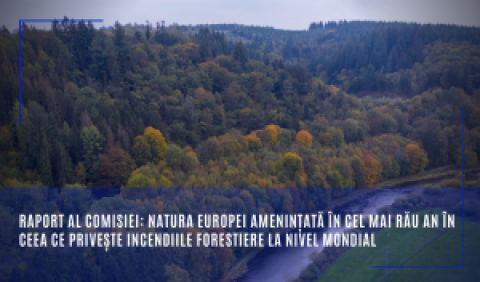 Raport al Comisiei: Natura Europei amenințată în cel mai rău an în ceea ce privește incendiile forestiere la nivel mondial