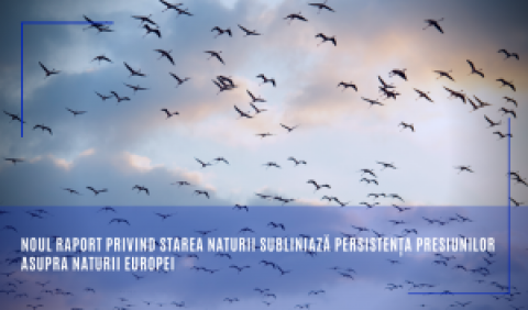 Noul raport privind starea naturii subliniază persistența presiunilor asupra naturii Europei