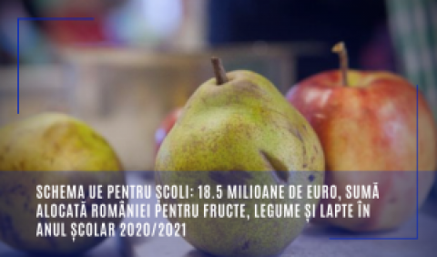 Schema UE pentru școli: 18.5 milioane de euro, sumă alocată României pentru fructe, legume și lapte în anul școlar 2020/2021