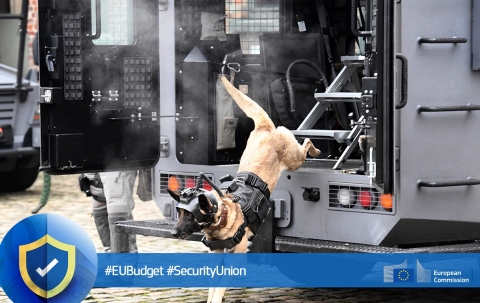 Bugetul UE: fonduri de 4,8 miliarde euro alocate securității pentru o Europă care oferă protecție