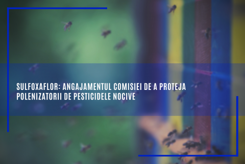 Sulfoxaflor: angajamentul Comisiei de a proteja polenizatorii de pesticidele nocive